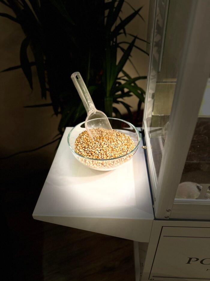 Spragėsių aparatas nuomai